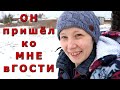 Дикий зверь из леса пришёл к моему дому...