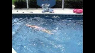 lime boots and swimming 010