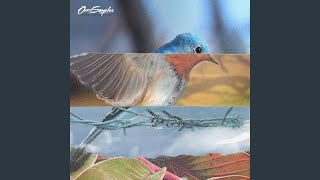 We Fly - Ours Samplus