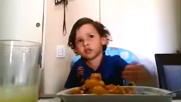 Které psi jsou pravé masožravce?