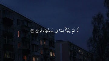 سوره النجم بصوت رائع وعزب🎧🌼 🤍 الشيخ انس الميمان 🤍🌼🎧