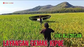 layangan gemak kipu mbesini melu kopdar