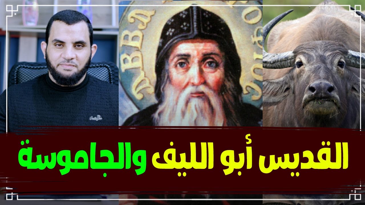 القديس أبو الليف اللذي أعاد الجاموسة المسروقة | هلليلويا
