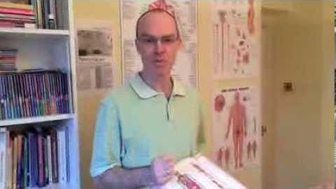 Rolfing Series Session Four