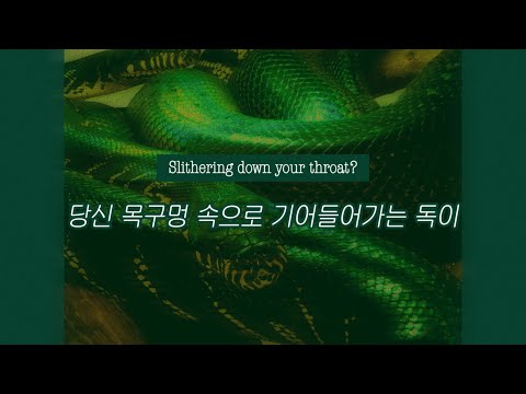 슬리데린 필수곡, 메두사의 가면무도회 :: Zeal Ginjoka - Medusa’s Masquerade [가사/해석/번역/lyrics]