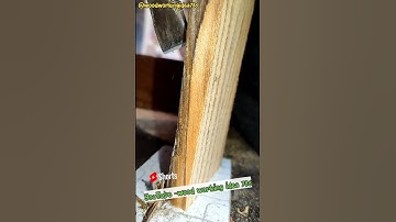 Chisel #chisel #oddlysatisfying #asmr  #woodcarving #woodworkingidea786