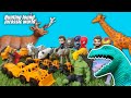 hunting found Jurassic world evolution 2 dinosaurus tirex megalodon Mosasaurus sapi Triceratops