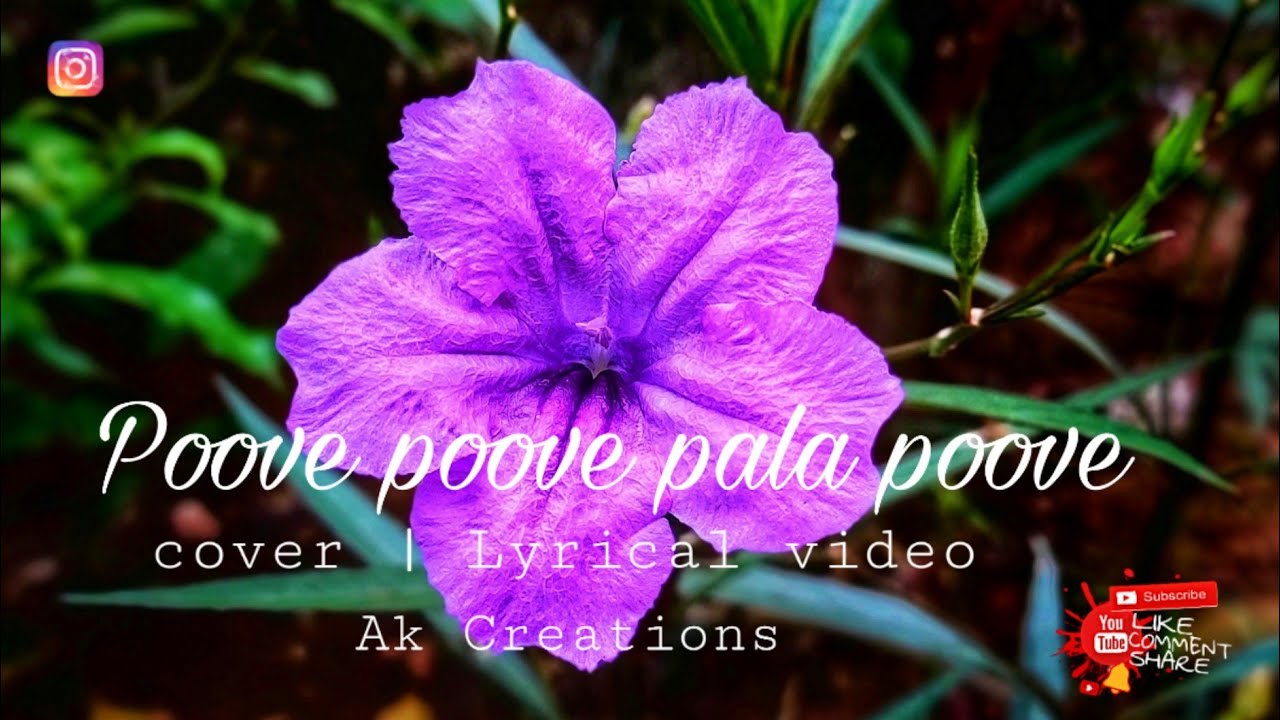 Poove Poove Palapoove cover song lyrical video Himna HilariDevadhoodan
