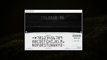 Workflow Green Blue lights on the IOSS WID120 Reader