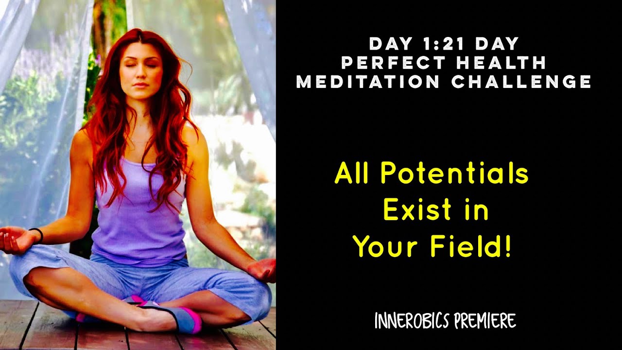 Perfect Health 21 Day Meditation Challenge -Your Journey to Vibrant ...
