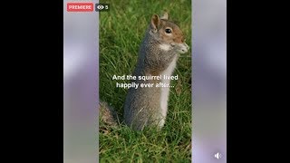 Brooklyn Park Police Video Someone Giving CPR to Squirrel