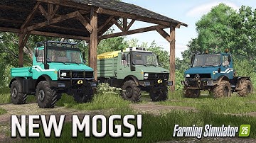 SO MUCH BETTER THAN GIANTS