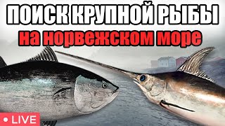 ПОИСК КРУПНОЙ РЫБЫ • НОРВЕЖСКОЕ МОРЕ • РР4