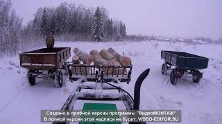 Валка леса. Заготовка дров. Делянка. два  МТЗ. Январь 2021 г. Вологодская область