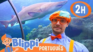 Blippi Ecnontra um Tubarão no Aquário! | 2 HORAS DO BLIPPI BRASIL! | Vídeos Educativos para Crianças