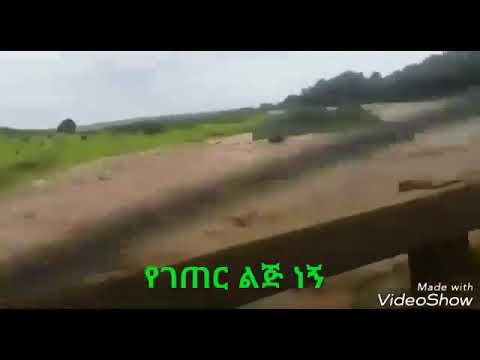 Gonder አርማጭሆ ሰሜን