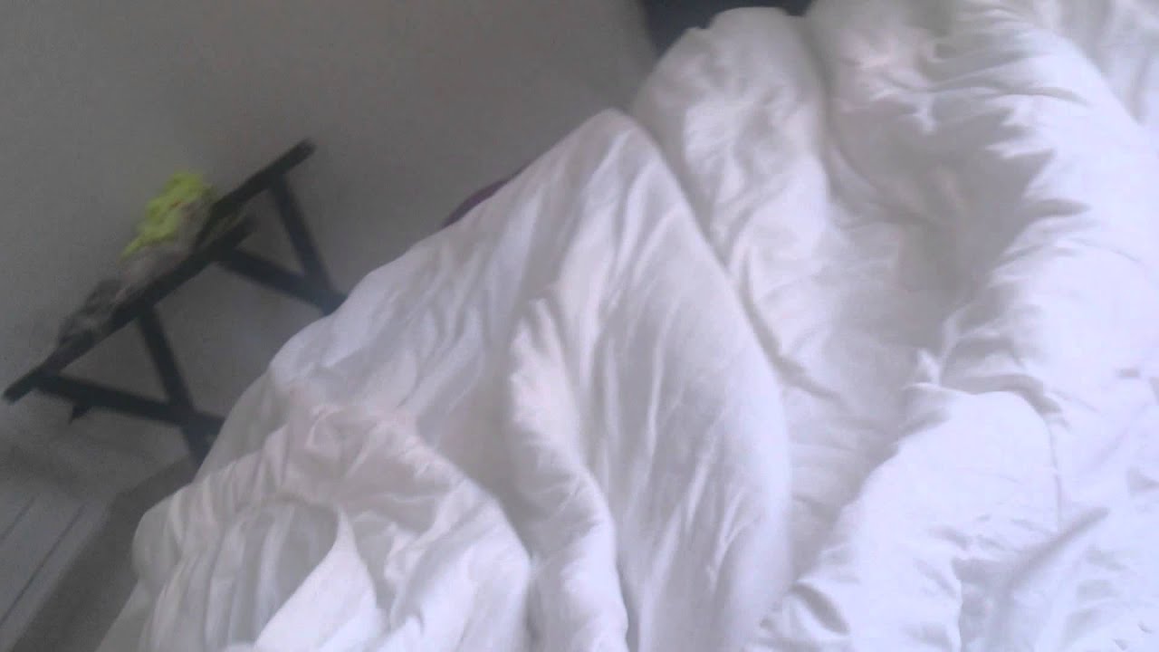 Климат и кровать в Pirates gate