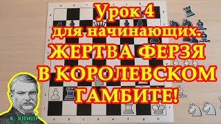 Шахматы для начинающих 4: Жертва ферзя! в Королевском гамбите. Шахматы для начинающих 4: Жертва ферзя! в Королевском гамбите.
