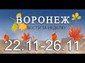 Новости Воронежа (22 ноября - 26 ноября)