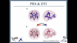 OHBM 2018 | Symposium | Tonya White | Brain developmental differences associated with polygenic an…