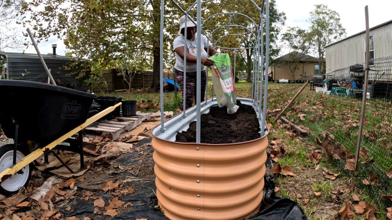 ЗАПОЛНЯЮ ВЫСОКУЮ ГРУЖБУ ДЛЯ ВЕСЕННЕЙ ПОСАДКИ @vego_garden