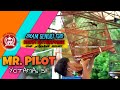 Aksi Murai Batu Mr Pilot Bersama Yotama Sf Mp3 - Mp4 Download
