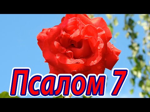 Псалом 7. Псалом Давида. Господь наказывает нечестивых и спасает невинного. Псалтирь.