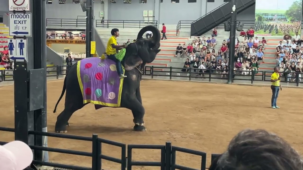 Jalan jalan ke thailand