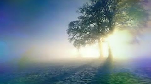 سوره القيامة بصوت يهز الصخر (الشيخ سلمان بن علي العتيبي)