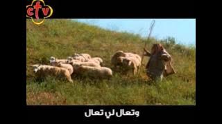 مرة تهـت بـعيدًا