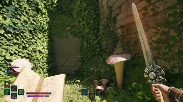 Avowed - Treasure Map - Woedica’s Inheritance Location