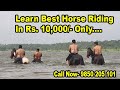 Horseback riding in the river and forest  nagpur horse riding club