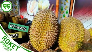 4 JENIS DURIAN TERBESAR DI DUNIA