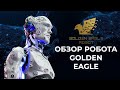 Обзор и тестирование Golden Eagle robot