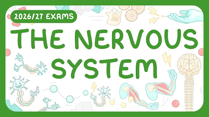 GCSE Biology - The Nervous System | Reflex Arcs Explained (2026/27 exams)