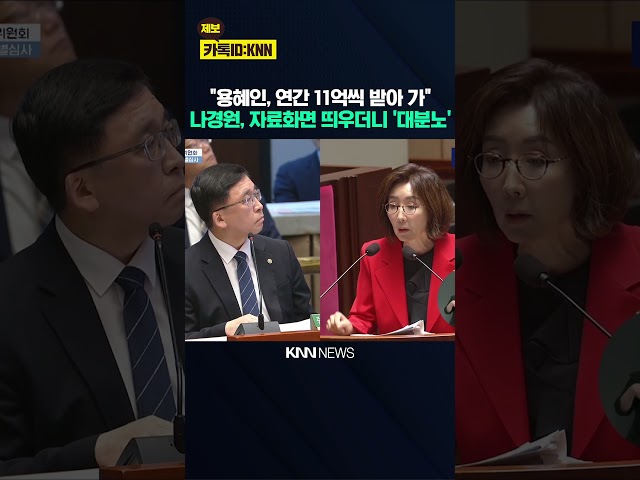 "용혜인, 연간 11억씩 받아 가" 나경원, 자료화면 띄우더니 '대분노' / KNN