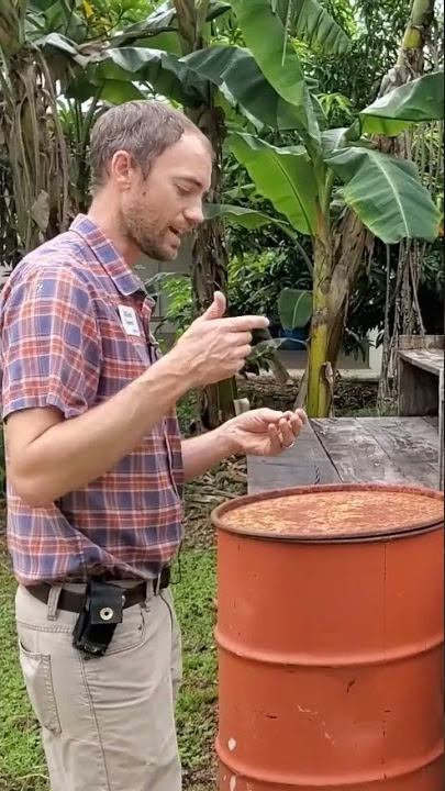 Treating Water with Moringa Seed
