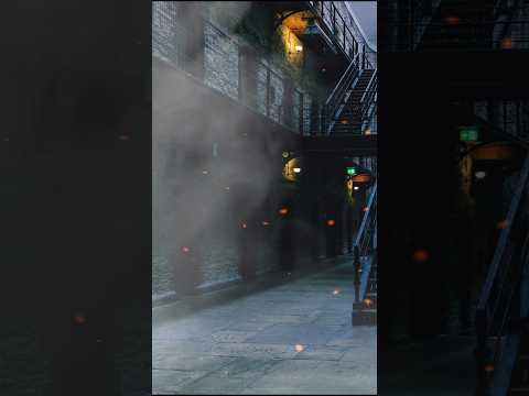 محبوس وسجني حيطانه عذاب اه م الوجع