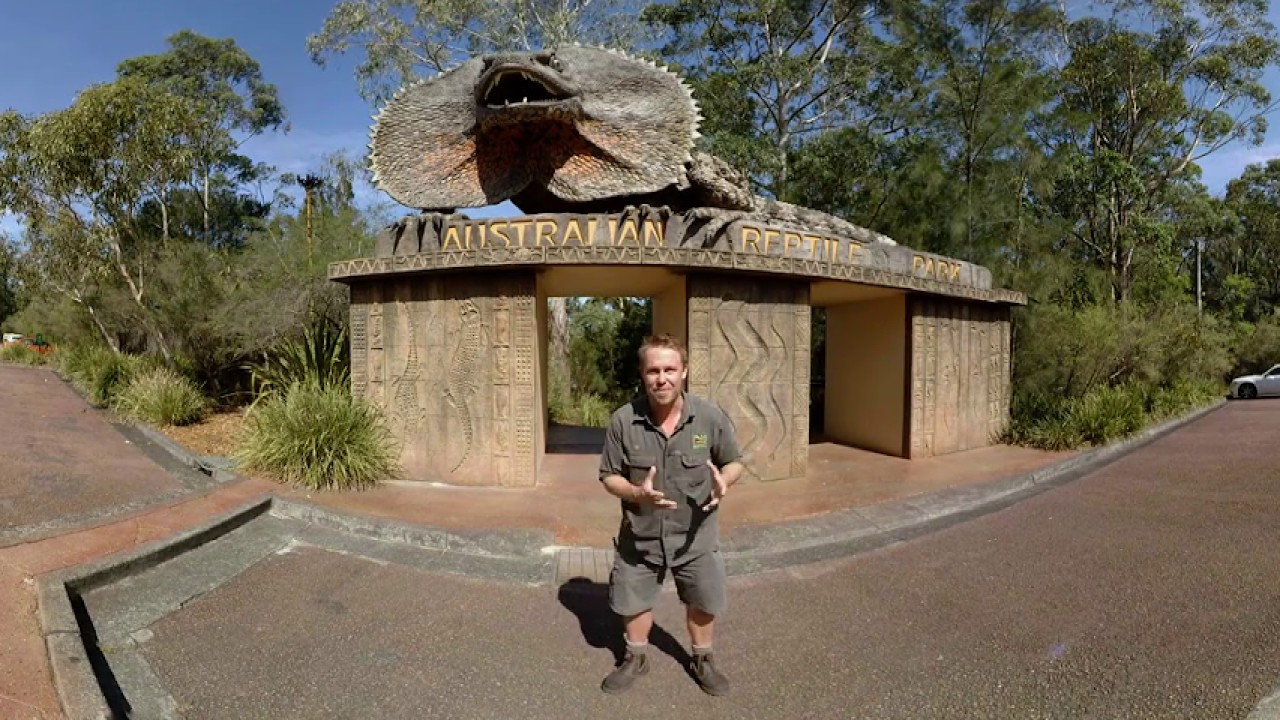 Australian Reptile Park - YouTube