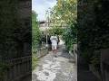 a day in my life in japan #vlog #dayinthelife #dayinmylife #kamakura