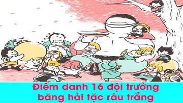 Danh tính và sức mạnh của 16 sư đoàn trưởng trong hạm đội cướp biển Râu Trắng l Top Anime