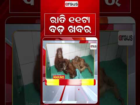 11 PM Headlines | 11 Sep 2026 | Today’s Top News Updates | Odisha Latest News | Argus News