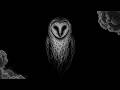 [FREE] “NIGHTWATCH” | Dark Boom Bap Type Beat | Deep Underground Rap Instrumental 2026