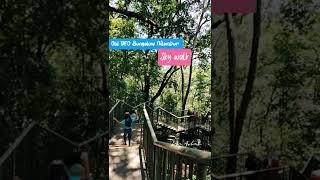 Old dfo bungalow Nilambur | Bungalow kunn