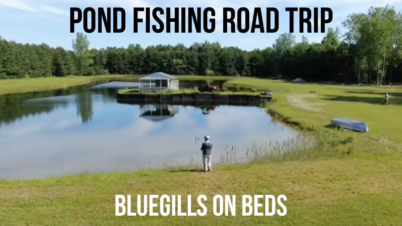 Pond Fishing For Bass In Michigan