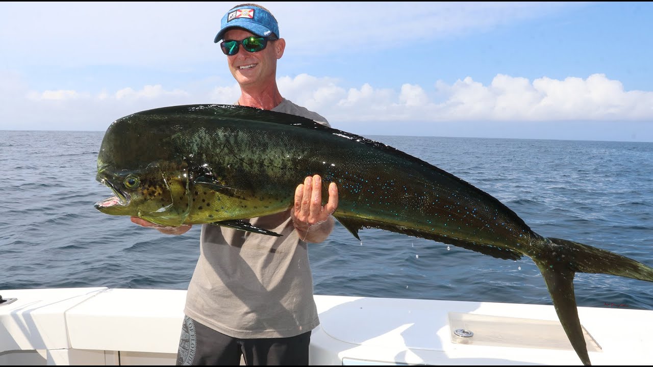 Bull Dolphin Fishing in El Salvador