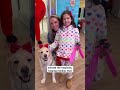 Day in the Life: Pepa #childrensatl #dayinthelife #therapydog #pediatrics