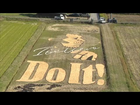 2025年の出来は“最高のSS席”レベル 美作市の永ちゃん田んぼに