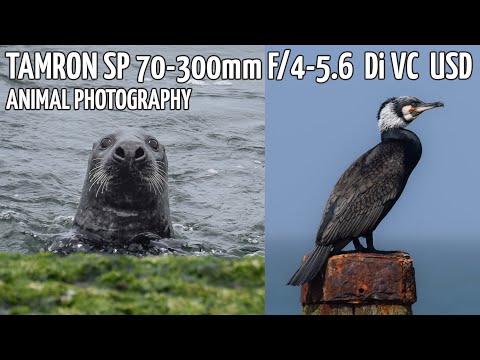 Tamron SP 70-300 mm f/4-5.6 Di VC USD review - Introduction 