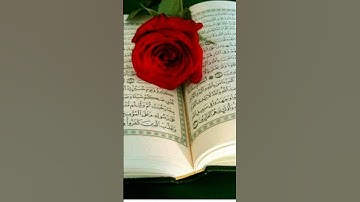 سورة التغابن #اكسبلور #لايك #القرآن_الكريم